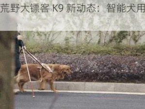 暴躁大妈荒野大镖客 K9 新动态：智能犬用科技守护你的安全