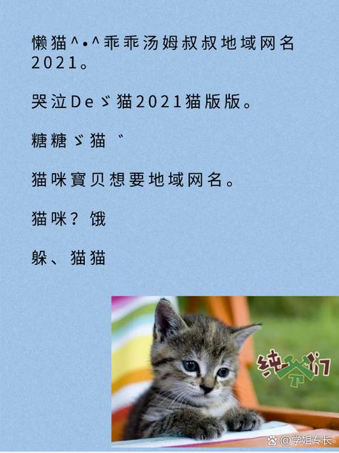 猫咪最新永久地域网名是什么?这是一个非常实用的网络工具,能够帮助用户快速找到自己想要的资源