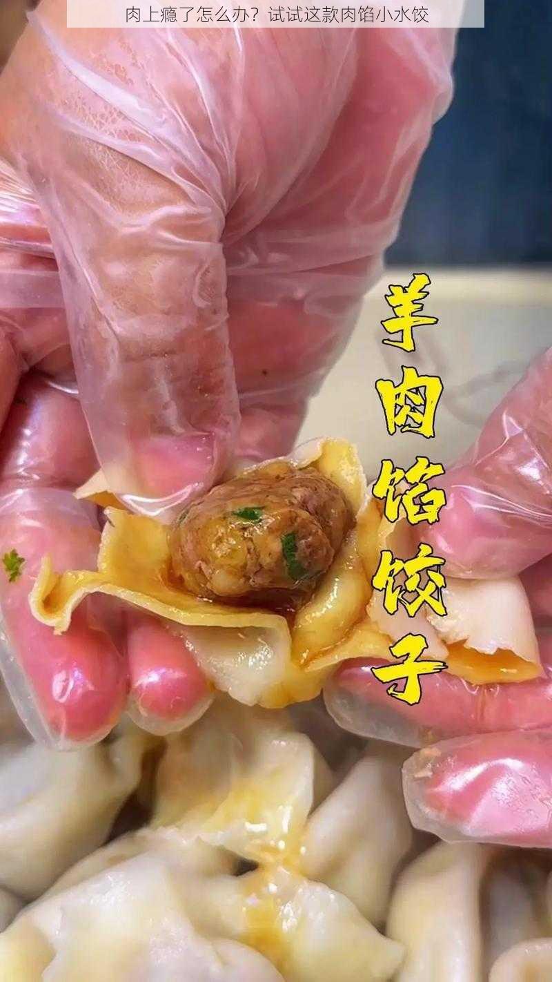 肉上瘾了怎么办?试试这款肉馅小水饺