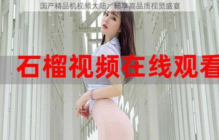 国产精品机视频大陆:畅享高品质视觉盛宴