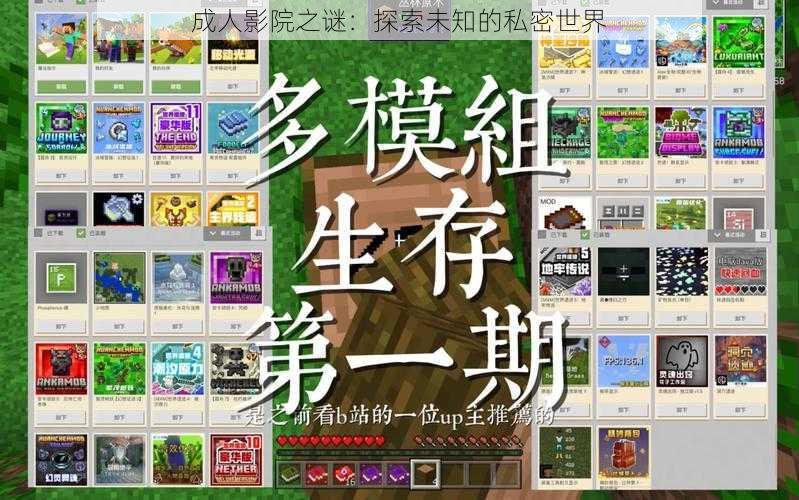 成人影院之谜:探索未知的私密世界