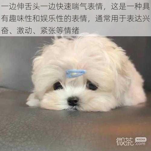 一边伸舌头一边快速喘气表情,这是一种具有趣味性和娱乐性的表情,通常用于表达兴奋、激动、紧张等情绪