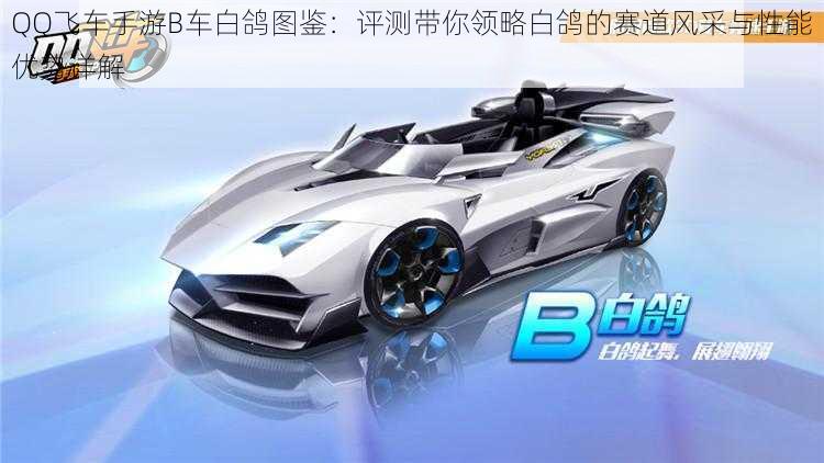 QQ飞车手游B车白鸽图鉴:评测带你领略白鸽的赛道风采与性能优势详解