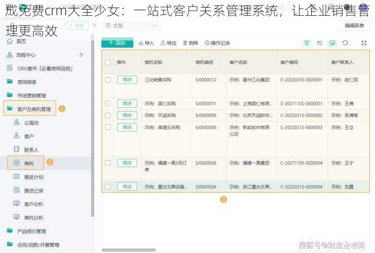 成免费crm大全少女:一站式客户关系管理系统,让企业销售管理更高效