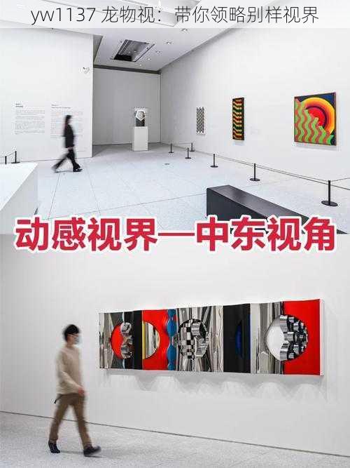 yw1137 龙物视:带你领略别样视界