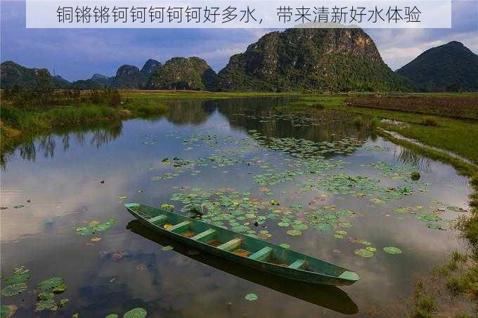 铜锵锵钶钶钶钶钶好多水,带来清新好水体验