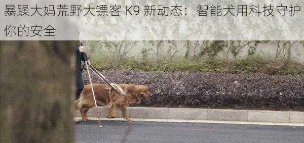 暴躁大妈荒野大镖客 K9 新动态:智能犬用科技守护你的安全