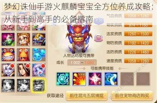 梦幻诛仙手游火麒麟宝宝全方位养成攻略:从新手到高手的必备指南